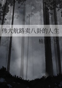 ѡ�㵼ʦ�����޵У�����������