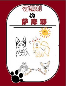 ����ʳ��