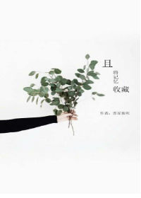 С�Ϲ�������