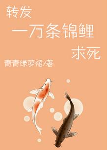 ���ǵ�����