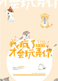 ����֮��