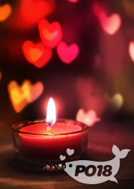 Ϊ�˹��Բ�����������Ե�������������飩