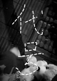 ����������(���)