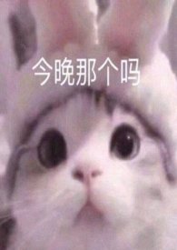 ǰ��ڲ�����