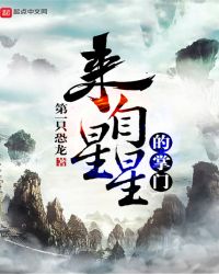 ��ʦ�������������