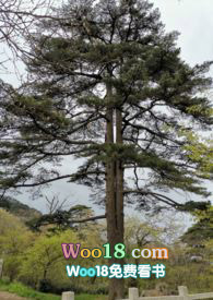 �Ұ��㵱�ܵ�