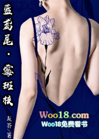 ����󱻺������䶢����