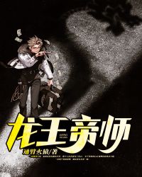 ʧ��ѩ������棩