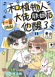 ʢ�����裨������