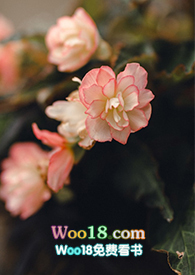 ѩ�̺�æ[������������]