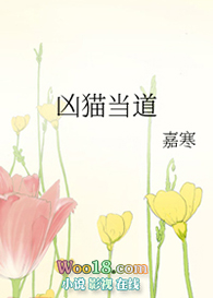 ����֮������鲻̫��