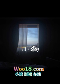 Ȩ������