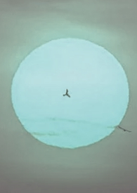 �������¹�