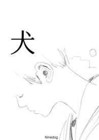 ������ò���绨