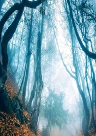 ������������Ϯ[�촩]