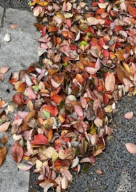 ���������������ҵ�