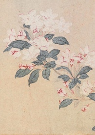 ��ǿ׽������ϵͳ