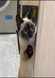 �ҵ���Լ���ɷ�