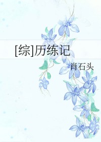 �ʺ�ƨר�������