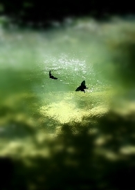 ��Ĺ֮���󾪳�