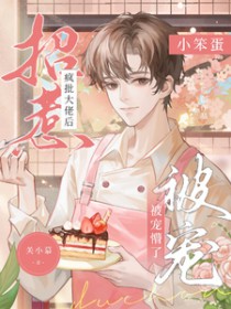 ������ʦ